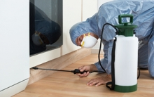 Servicii Dezinfectie Deratizare Dezinsectie  IGIENA SERV