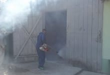 Servicii Dezinfectie Deratizare Dezinsectie DDD Nord SRL