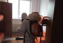 Servicii Dezinfectie Deratizare Dezinsectie IGIENA SERV