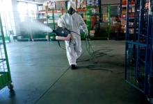 Servicii Dezinfectie Deratizare Dezinsectie IGIENA SERV