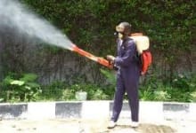 Servicii Dezinfectie Deratizare Dezinsectie IGIENA CONSTRUCT