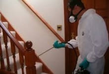 Servicii Dezinfectie Deratizare Dezinsectie IGIENA CONSTRUCT