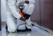 Servicii Dezinfectie Deratizare Dezinsectie IGIENA SERV