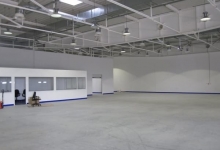 Servicii Dezinfectie Deratizare Dezinsectie IGIENA SERV