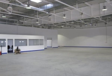 Servicii Dezinfectie Deratizare Dezinsectie IGIENA SERV