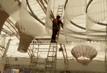 Servicii Dezinfectie Deratizare Dezinsectie IGIENA SERV