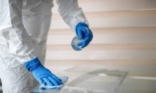 Servicii Dezinfectie Deratizare Dezinsectie Paxton Electric S.R.L.
