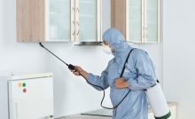 Servicii Dezinfectie Deratizare Dezinsectie Paxton Electric S.R.L.