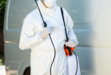 Servicii Dezinfectie Deratizare Dezinsectie Paxton Electric S.R.L.