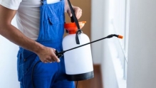 Servicii Dezinfectie Deratizare Dezinsectie Paxton Electric S.R.L.