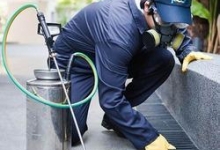 Servicii Dezinfectie Deratizare Dezinsectie Paxton Electric S.R.L.