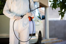 Servicii Dezinfectie Deratizare Dezinsectie Paxton Electric S.R.L.