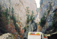 Servicii Dezinfectie Deratizare Dezinsectie Servicii DDD Snagov IGIENA SERV