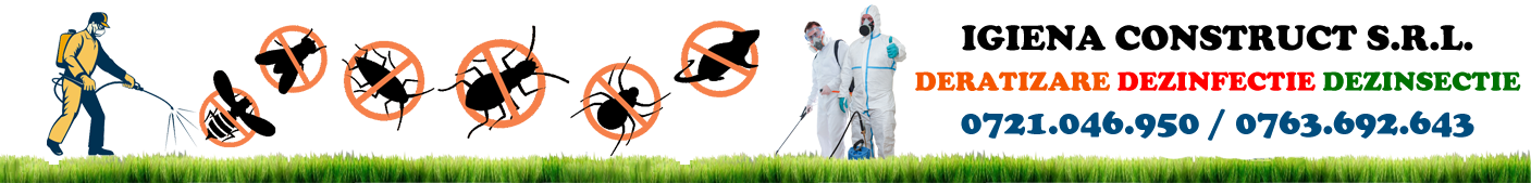 servicii deratizare, dezinsectie, dezinfectie giurgiu servicii deratizare, dezinsectie, dezinfectie giurgiu